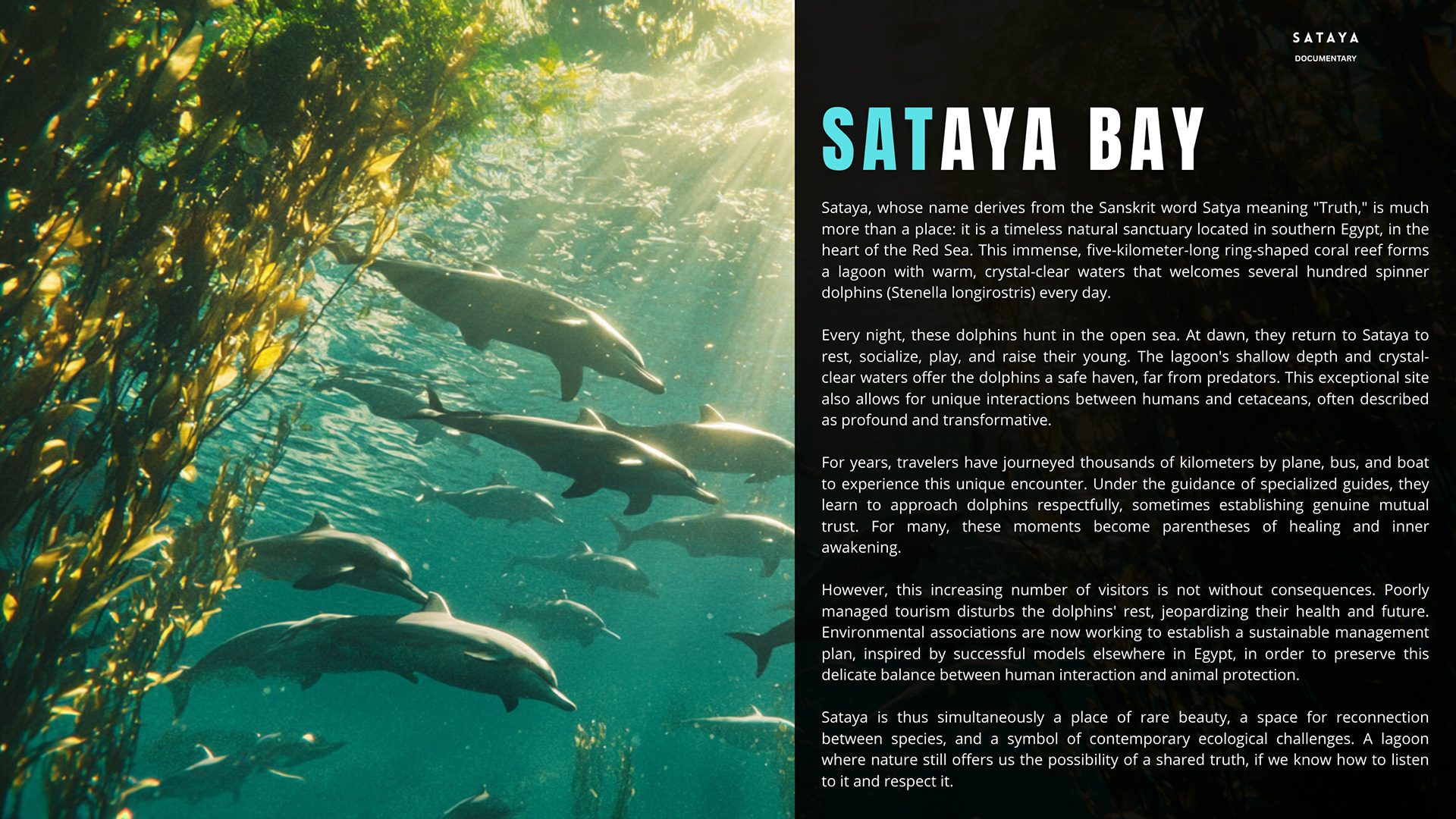 Pitch decks are crafted by our Writer’s Room - World Media Match